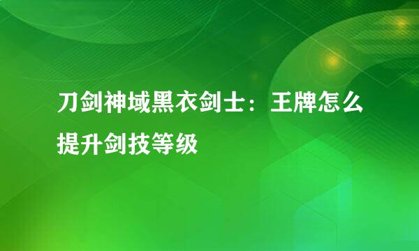 刀剑神域黑衣剑士：王牌怎么提升剑技等级