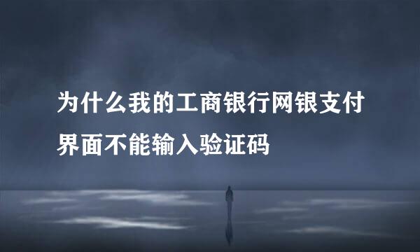 为什么我的工商银行网银支付界面不能输入验证码