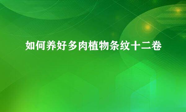 如何养好多肉植物条纹十二卷