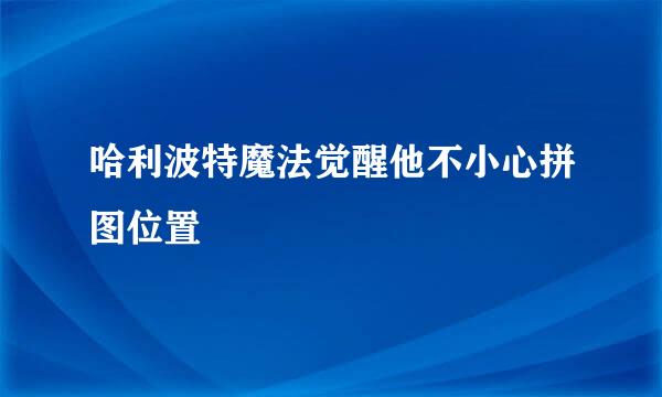 哈利波特魔法觉醒他不小心拼图位置