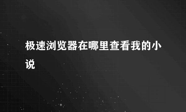 极速浏览器在哪里查看我的小说