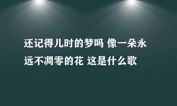 还记得儿时的梦吗 像一朵永远不凋零的花 这是什么歌