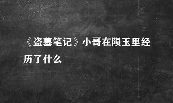 《盗墓笔记》小哥在陨玉里经历了什么