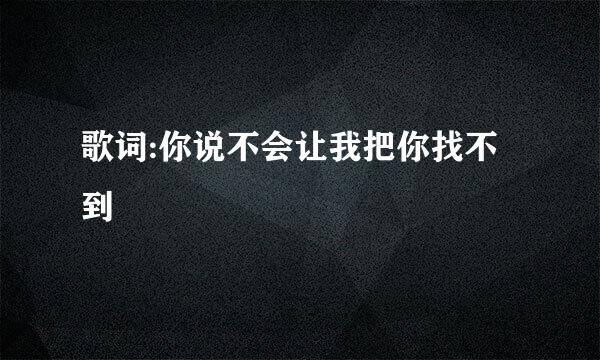 歌词:你说不会让我把你找不到