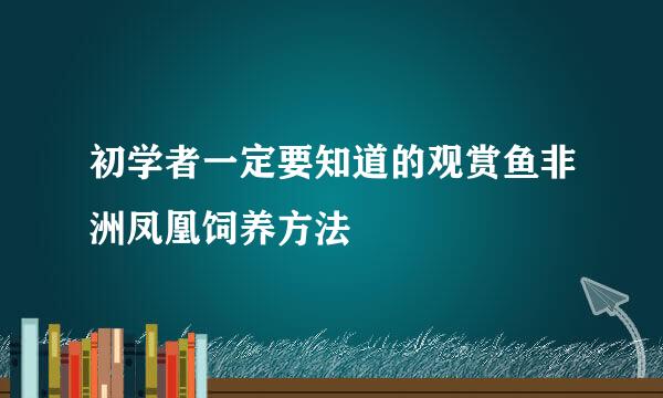 初学者一定要知道的观赏鱼非洲凤凰饲养方法