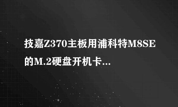 技嘉Z370主板用浦科特M8SE的M.2硬盘开机卡LOGO