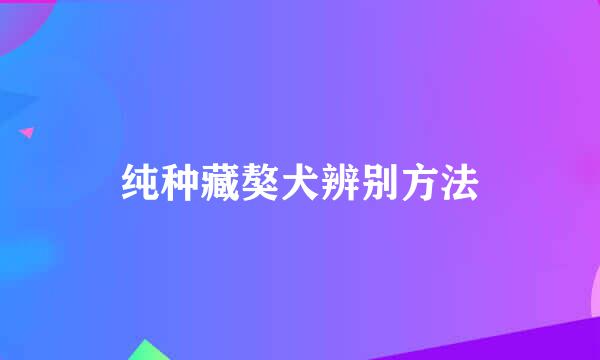 纯种藏獒犬辨别方法