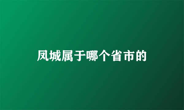 凤城属于哪个省市的