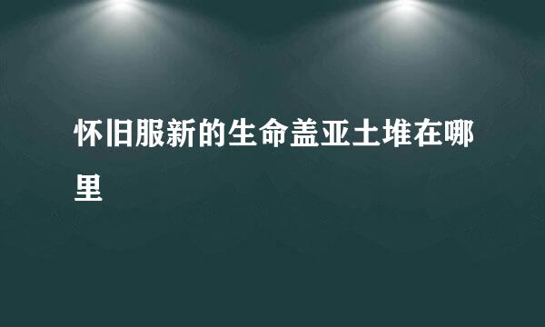 怀旧服新的生命盖亚土堆在哪里