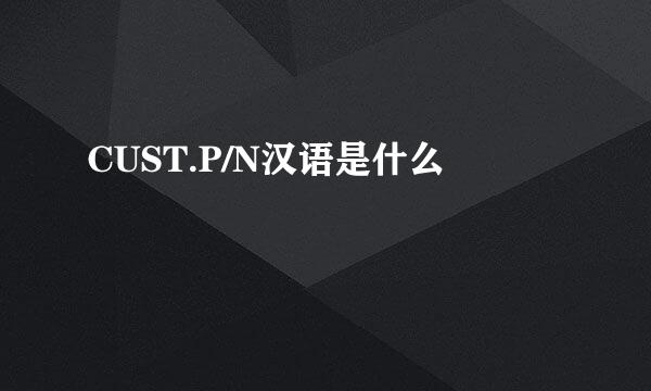 CUST.P/N汉语是什么