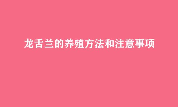 龙舌兰的养殖方法和注意事项