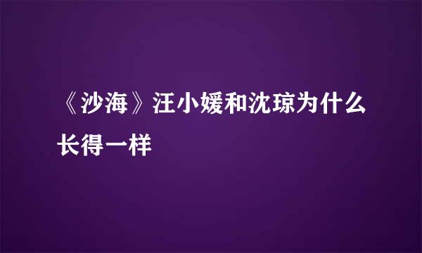 《沙海》汪小媛和沈琼为什么长得一样