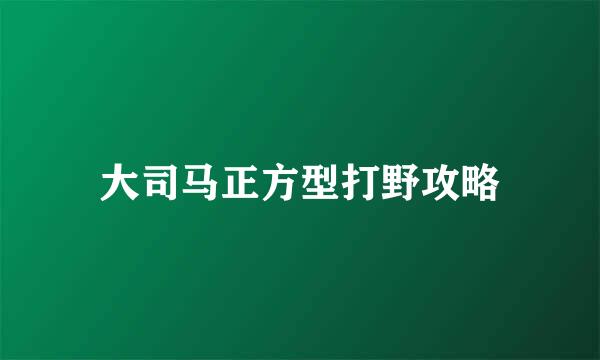 大司马正方型打野攻略