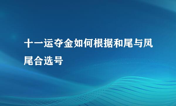 十一运夺金如何根据和尾与凤尾合选号