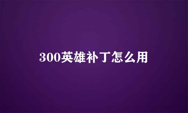 300英雄补丁怎么用