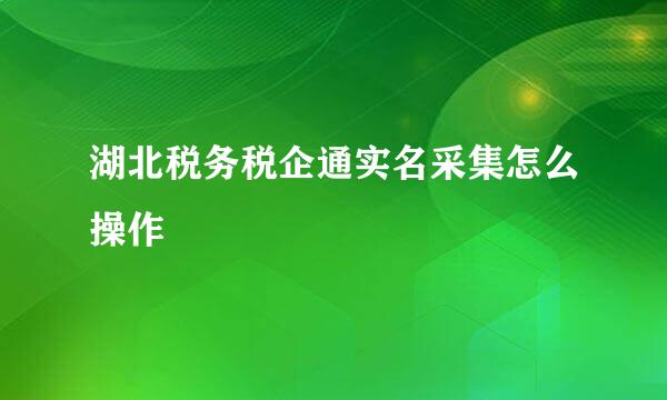 湖北税务税企通实名采集怎么操作