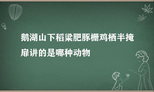 鹅湖山下稻粱肥豚栅鸡栖半掩扉讲的是哪种动物