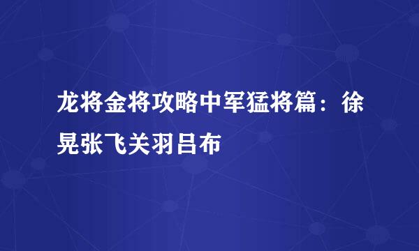 龙将金将攻略中军猛将篇：徐晃张飞关羽吕布