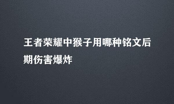 王者荣耀中猴子用哪种铭文后期伤害爆炸