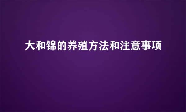 大和锦的养殖方法和注意事项