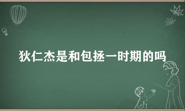 狄仁杰是和包拯一时期的吗