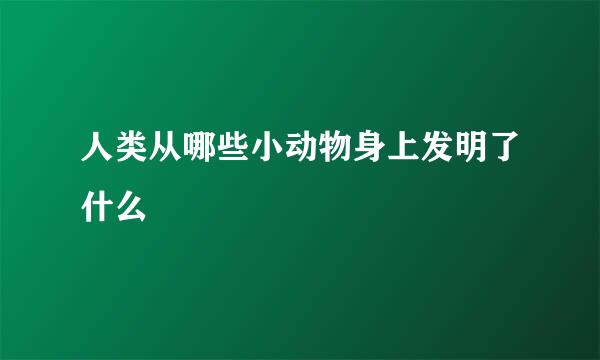 人类从哪些小动物身上发明了什么