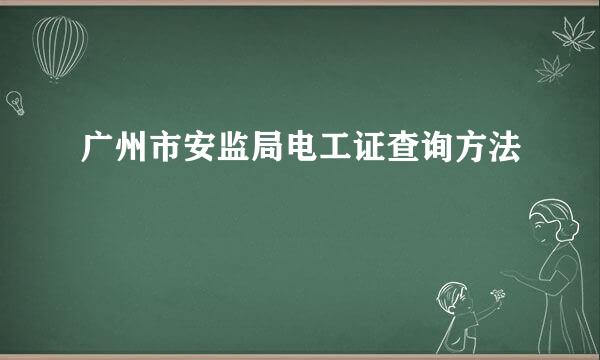 广州市安监局电工证查询方法