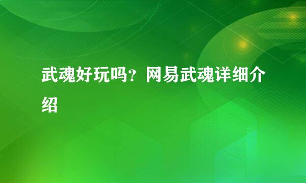 武魂好玩吗？网易武魂详细介绍