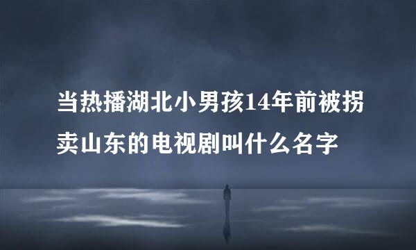 当热播湖北小男孩14年前被拐卖山东的电视剧叫什么名字