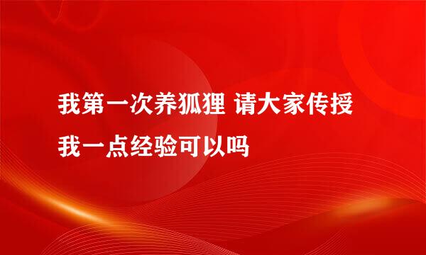 我第一次养狐狸 请大家传授我一点经验可以吗