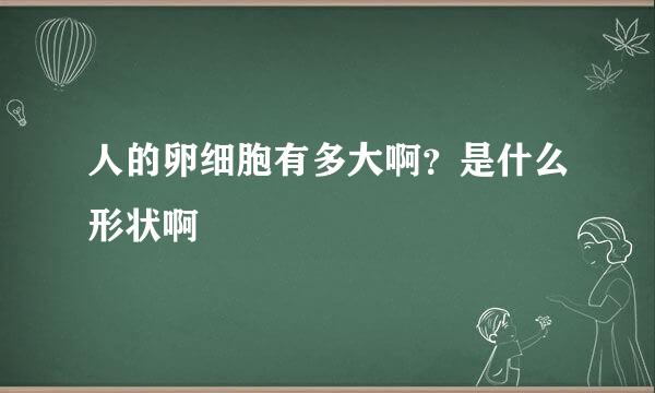 人的卵细胞有多大啊？是什么形状啊