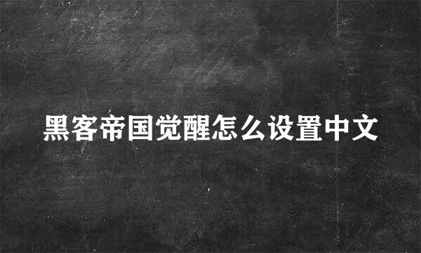 黑客帝国觉醒怎么设置中文