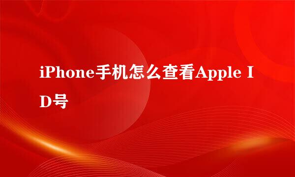 iPhone手机怎么查看Apple ID号