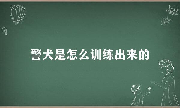 警犬是怎么训练出来的